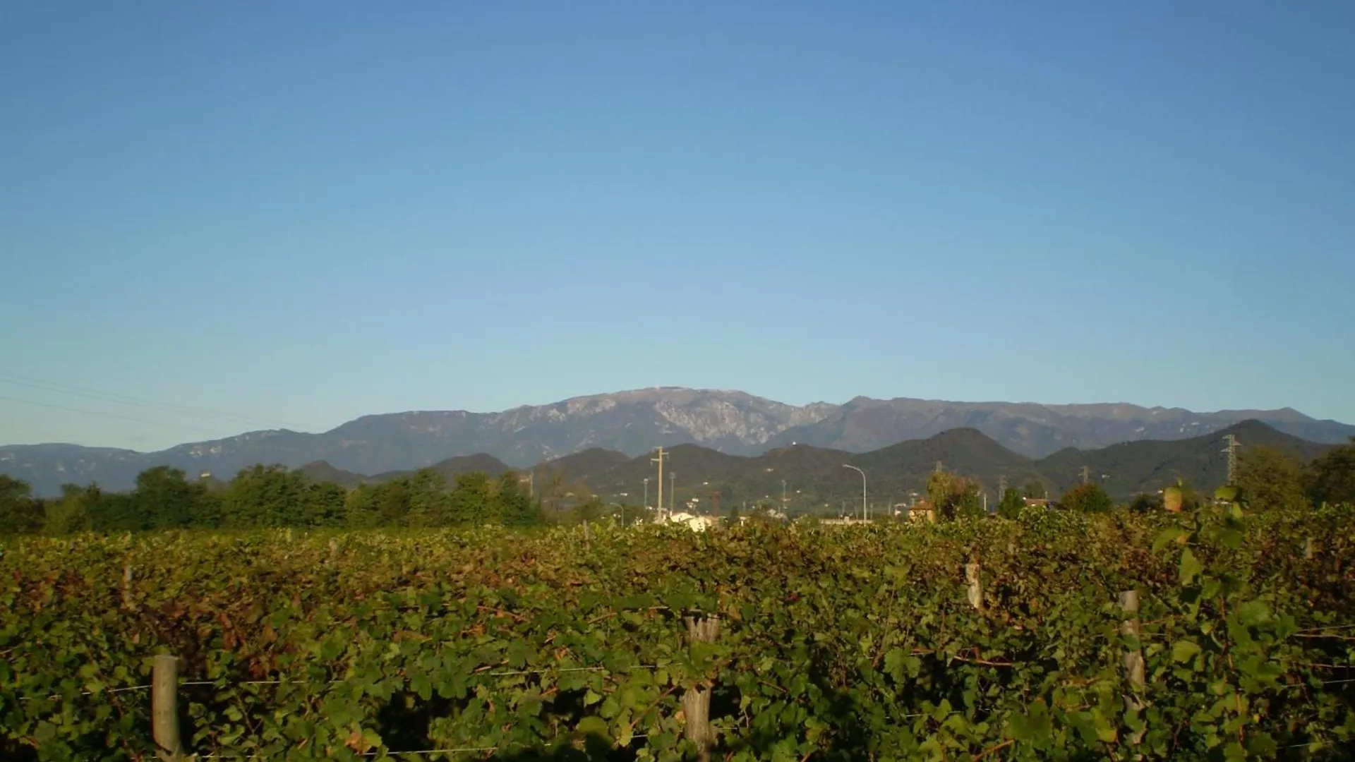 Col Delle Rane Bed & Breakfast Caerano Di San Marco